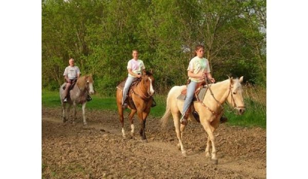 492_dan_patch_bb530498-5056-a36a-09b3be3875860bbd