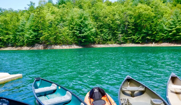 655e3e2d02eed9e8e40c91025e400765